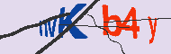 Captcha認証コード